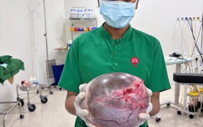 The Siasat News - Images