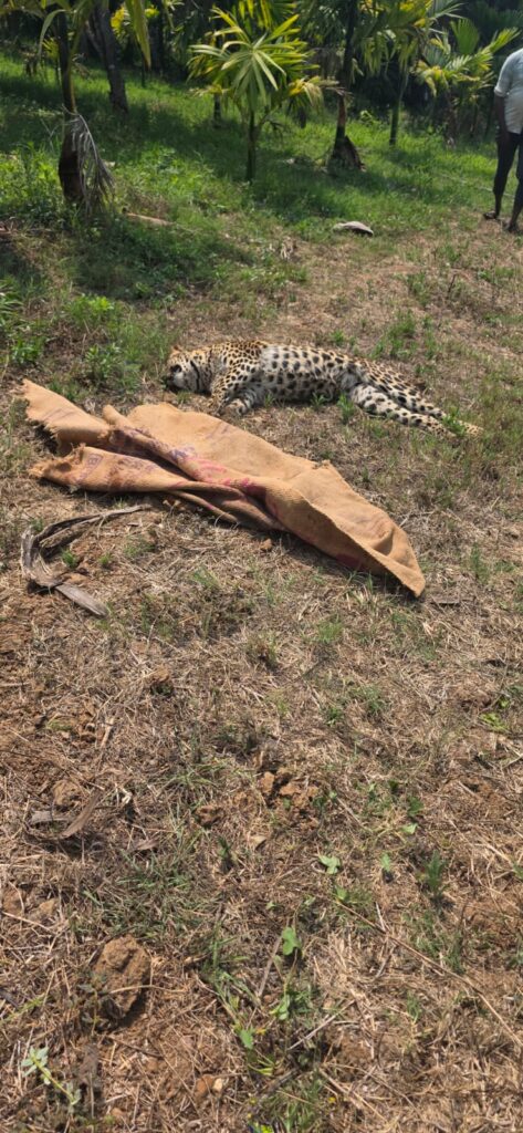 The Siasat News - Images