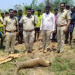 The Siasat News - Images