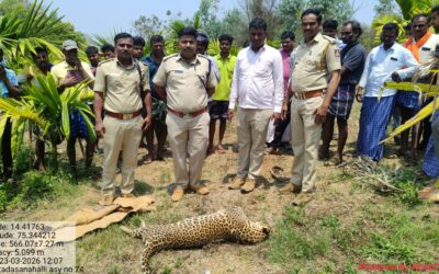 The Siasat News - Images